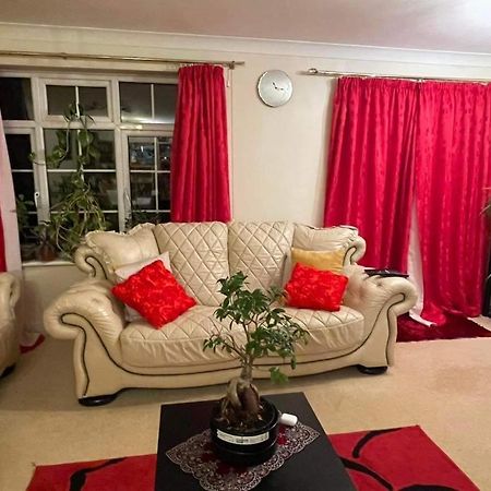 Cozy Homestay Croydon Exterior photo