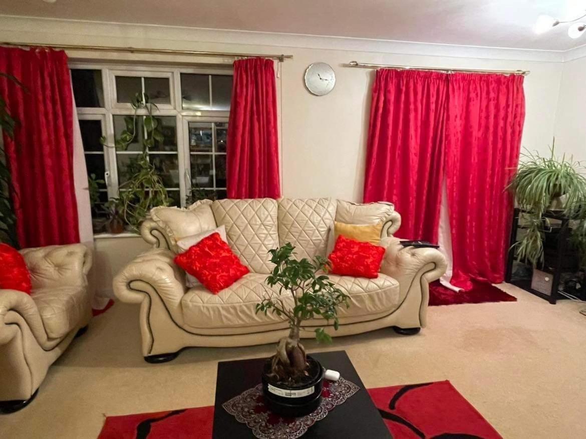Cozy Homestay Croydon Exterior photo
