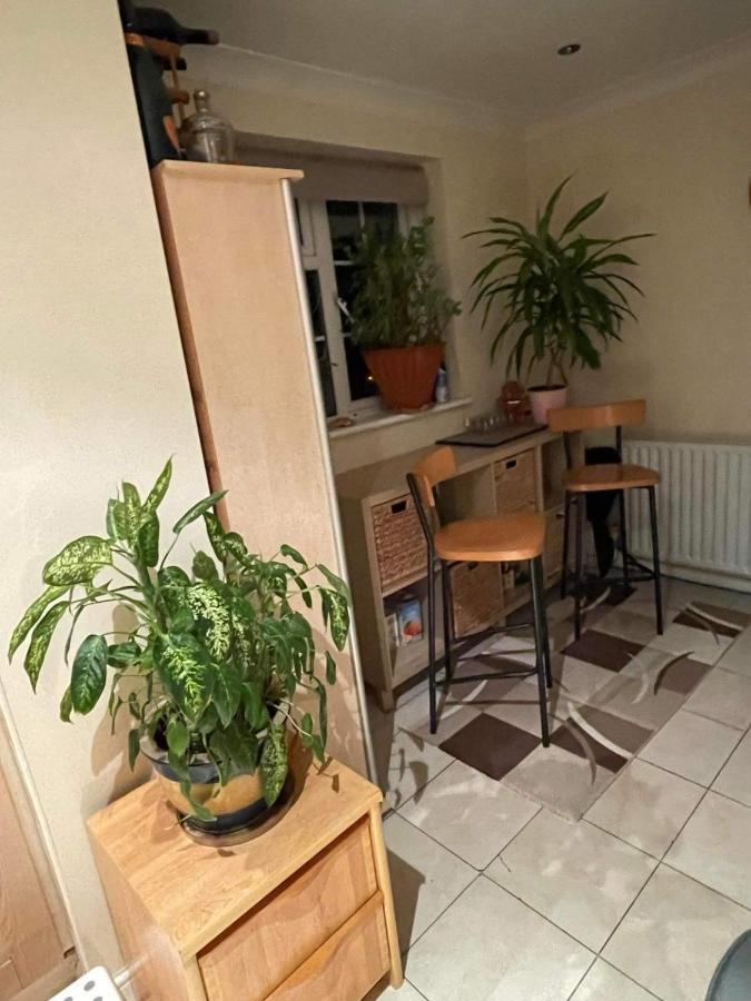 Cozy Homestay Croydon Exterior photo